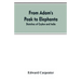 From Adam's Peak to Elephanta: Sketches of Ceylon and India
