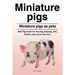 Miniature pigs. Miniature pigs as pets. Mini Pigs book for housing, keeping, diet, health, costs, pros and cons.