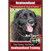 Newfoundland Training Book for Dogs & Puppies By BoneUP DOG Training: Are You Ready to Bone Up? Easy Steps * Fast Results Newfoundland Training
