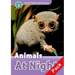 Read and Discover Level 4 Animals at Night Audio CD Pack