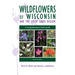 Wildflowers of Wisconsin and the Great Lakes Region: A Comprehensive Field Guide