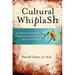 Cultural Whiplash: The Unforeseen Consequences of America's Crusade Against Racial Discrimination