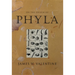 On the Origin of Phyla