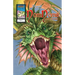 Dragon's Hoard: NomNoms 1