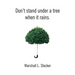 Don't Stand Under a Tree When It Rains