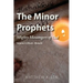 The Minor Prophets: Mighty Messengers of God Volume 2: Micah-Malachi