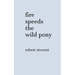 Fire Speeds the Wild Pony