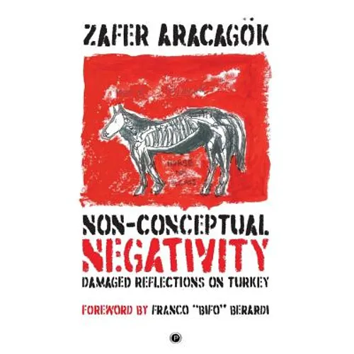 Non-Conceptual Negativity: Damaged Reflections on Turkey