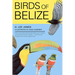 Birds of Belize