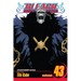 Bleach, Vol. 43