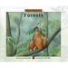 About Habitats: Forests: (A Classroom-Friendly Science Resource for Exploring Forest Ecosystems for Preschoolers, 1st and 2nd Graders)