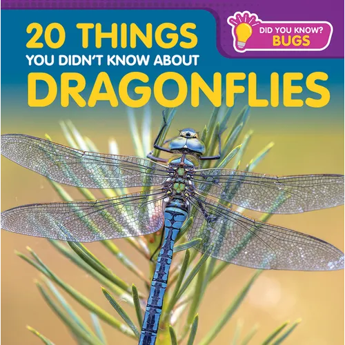 20 Things You Didn't Know about Dragonflies