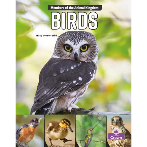 Birds