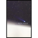 Comet Wine