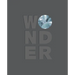 Wonder