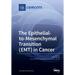 The Epithelialto- Mesenchymal Transition ( EMT ) in Cancer