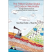 Trillion-Dollar Stake of Carbon Neutrality, The: Energy Infrastructures in Hong Kong and the Greater Bay Area