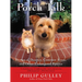 Porch Talk: Stories of Decency, Common Sense, and Other Endangered Species