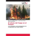 El efecto del fuego en el bosque