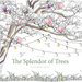 The Splendor of Trees Coloring Book