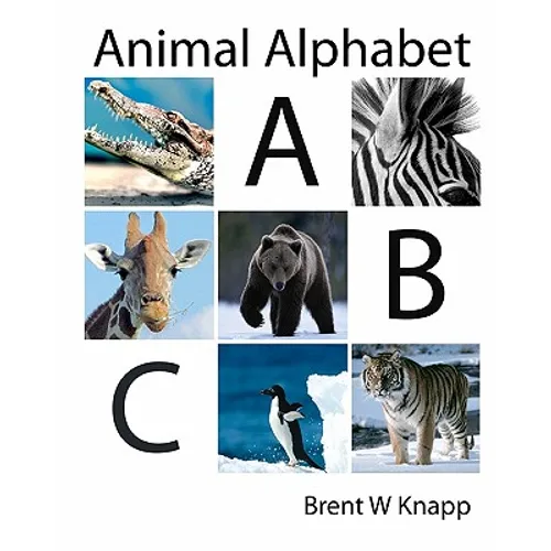 Animal Alphabet: From Alligator to Zebra