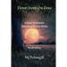 Down from the Tree: Etched in Granite Historical Fiction Series: Book Three