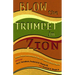 Blow the Trumpet in Zion!: Global Vision and Action for the Twenty-First-Century Black Church