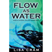 Flow As Water: A Parallel Worlds Sci-Fi Adventure (Book 1 Earth Stones Trilogy)