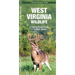 West Virginia Wildlife: An Introduction to Familiar Species