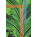 Climate Change and Natural Capital: Supporting Ecosystem Services, Biodiversity, Carbon Sequestration, Sustainable Development, and Green Infrastructu