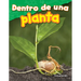 Dentro de Una Planta