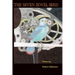 The Seven Jewel Bird