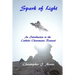 Spark of Light: An Introduction to the Catholic Charismatic Renewal