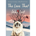 The Love That Was Lost