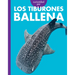 Curiosidad Por Los Tiburones Ballena