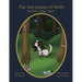 The Adventures of Molly, And Her Magic Spot