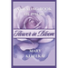 Flower in Bloom