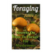 Foraging: Secrets On How To Forage For Mushrooms