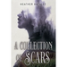A Collection of Scars