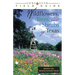 Lone Star Field Guide to Wildflowers, Trees, and Shrubs of Texas