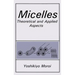Micelles: Theoretical and Applied Aspects