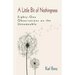 A Little Bit of Nothingness