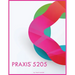 Praxis 5205