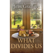 What Divides Us: The Kilteegan Bridge Story - Book 2