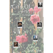 City of Roses: A La Vie En Rose Novel: A La Vie En Rose Novel