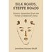 Silk Roads, Steppe Roads: History Unearthed from the Tombs of Medieval China
