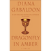 Dragonfly in Amber