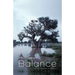 Facilitating Balance: Practical Steps Towards Wellbeing