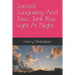 Sacred Sungazing And Toxic Junk Blue Light At Night