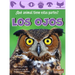Los Ojos (Eyes)